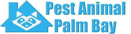 Palm Bay Wildlife and Animal Removal